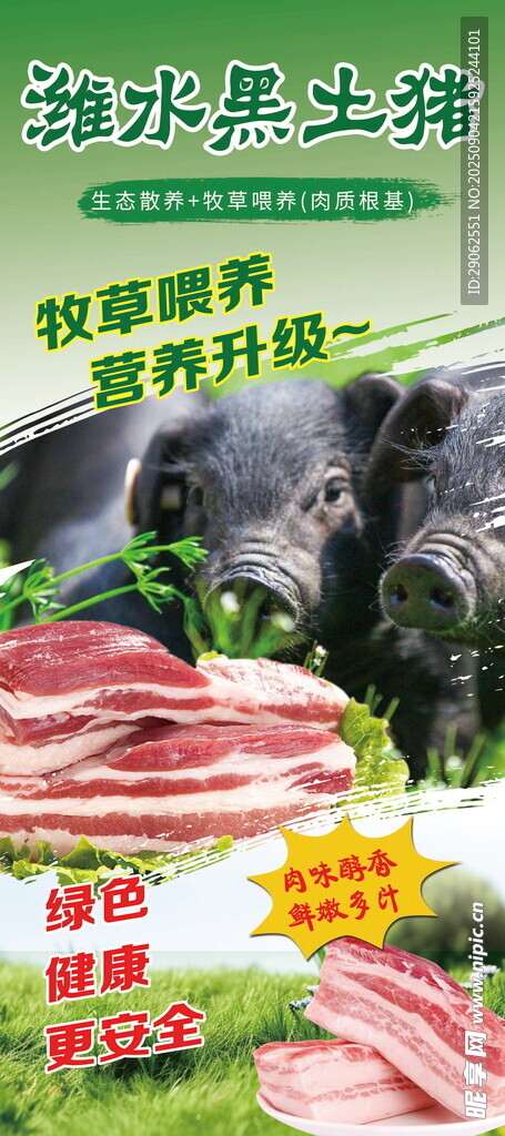 潍水黑土猪展架海报介绍