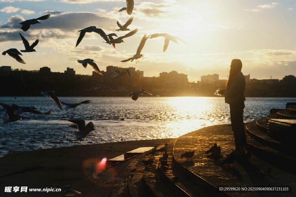 夕阳下湖畔的人与飞鸟
