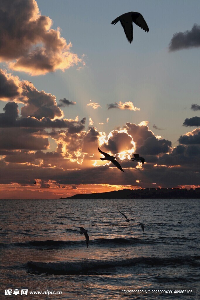 夕阳下海面飞鸟美景