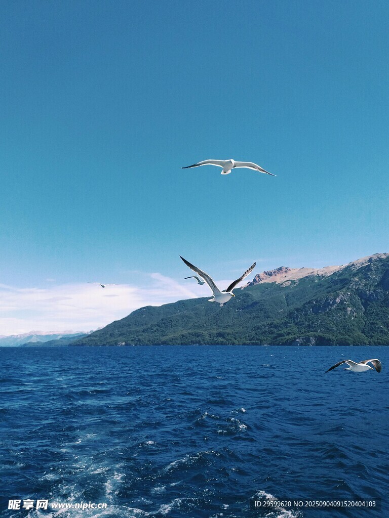 海上飞鸟与远山美景