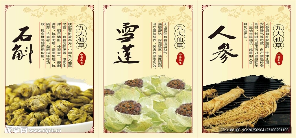 石斛雪莲人参