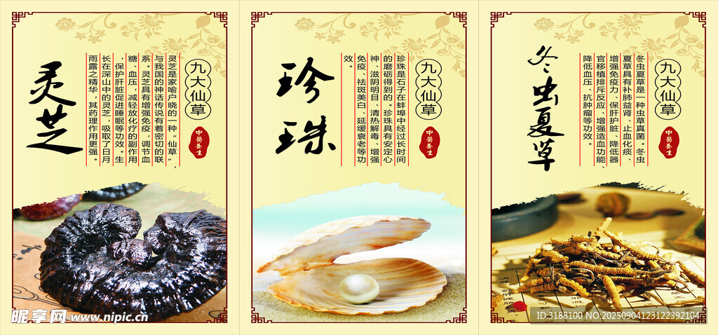 灵芝珍珠冬虫夏草
