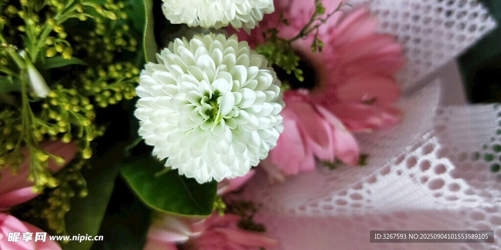花朵素材