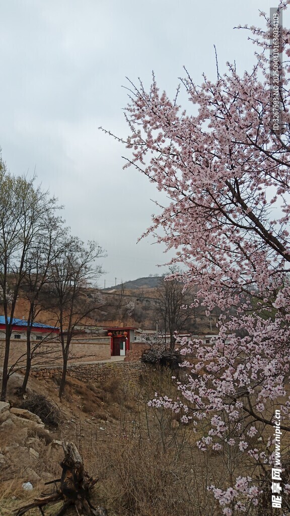 春日乡村