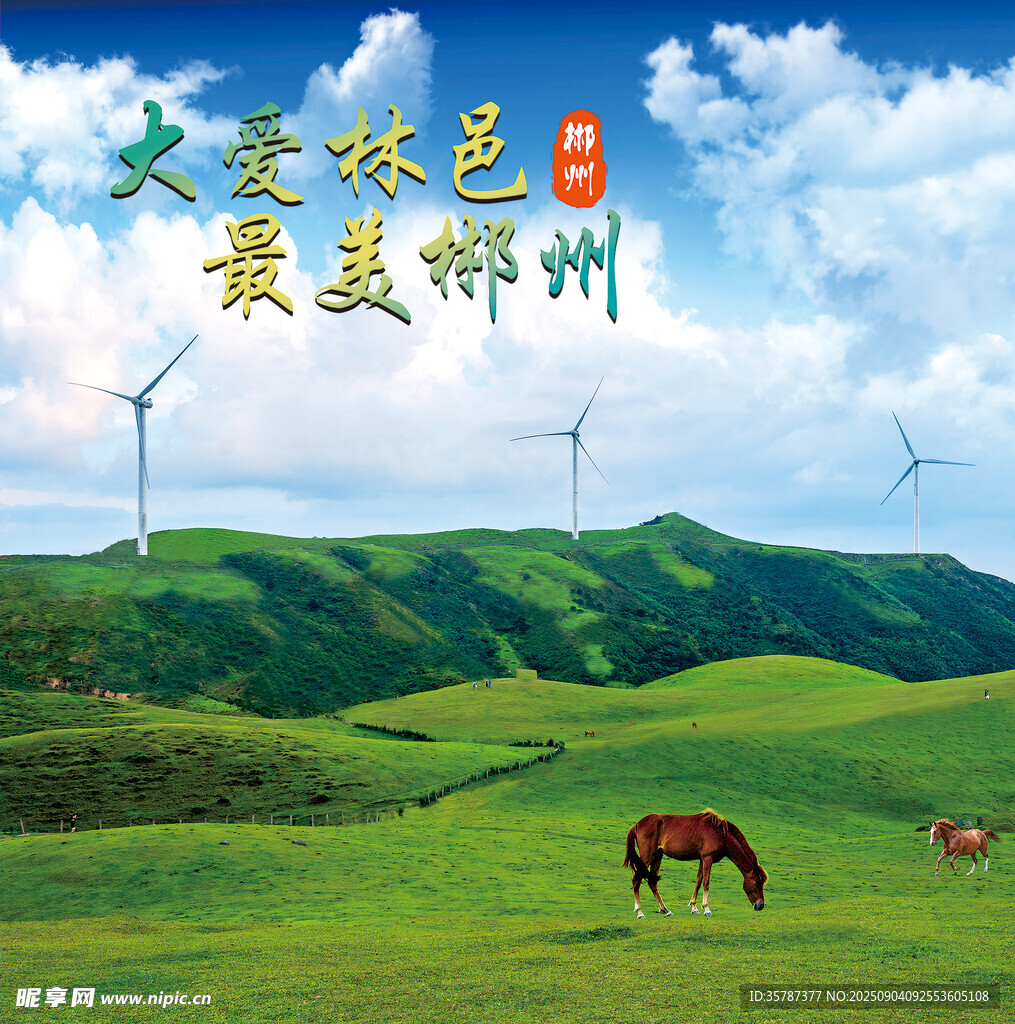 郴州草原风光 骏马与风车