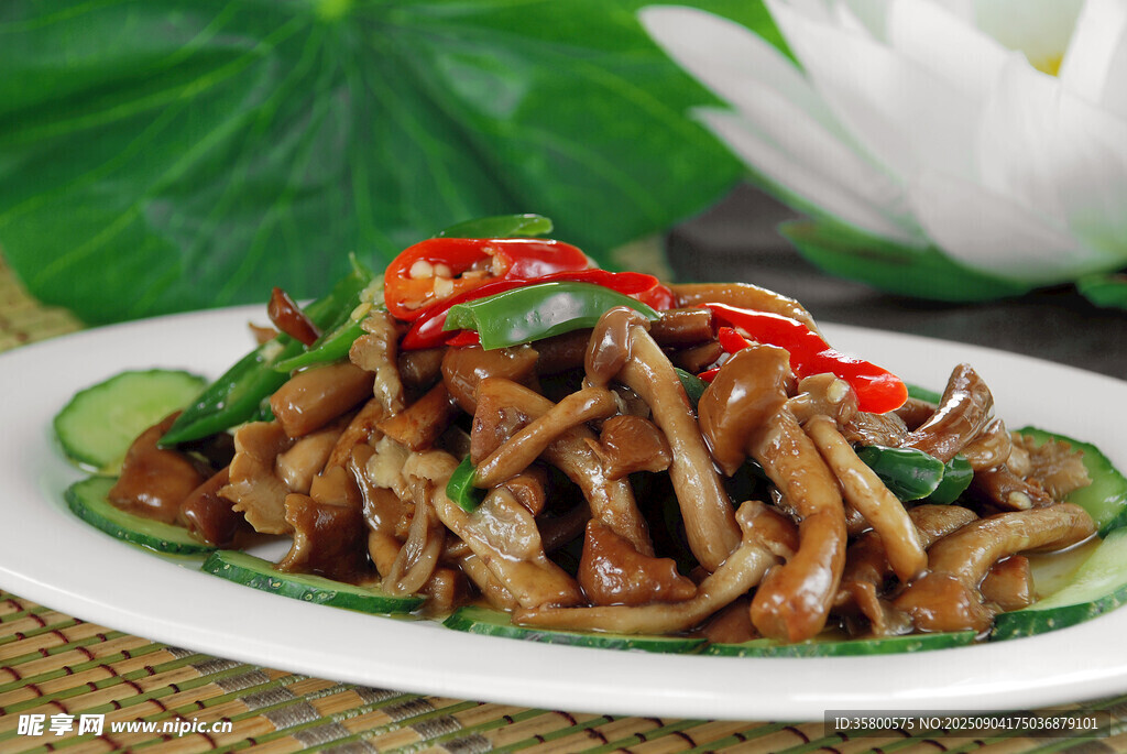 香辣茶树菇炒肉丝