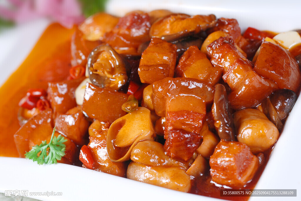 美味红烧鸡块