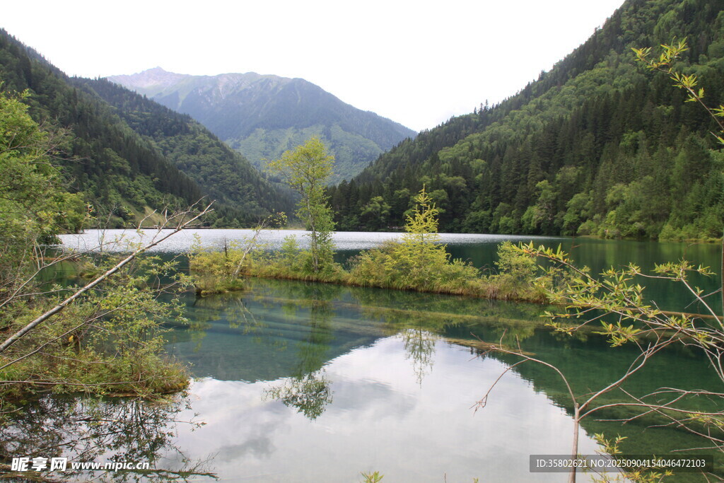 九寨沟秀丽山水间的静谧湖泊