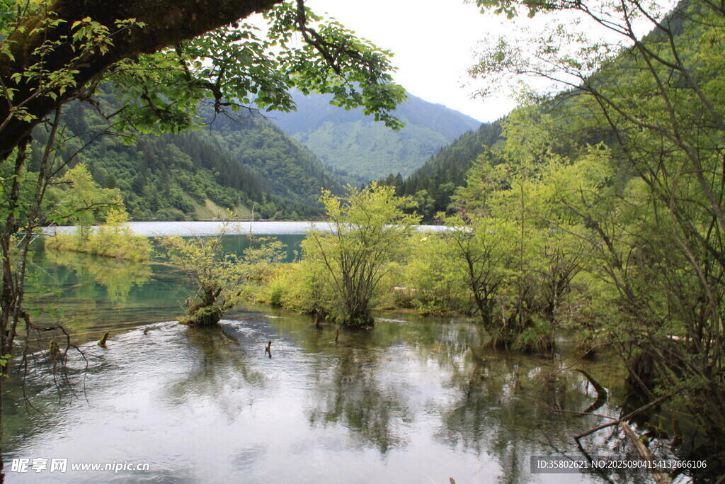 九寨沟山间静美溪流与葱郁林木
