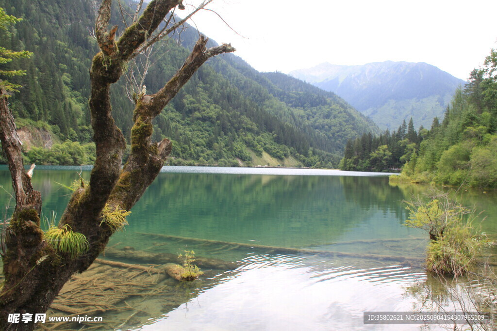 秀丽山水间的宁静湖泊