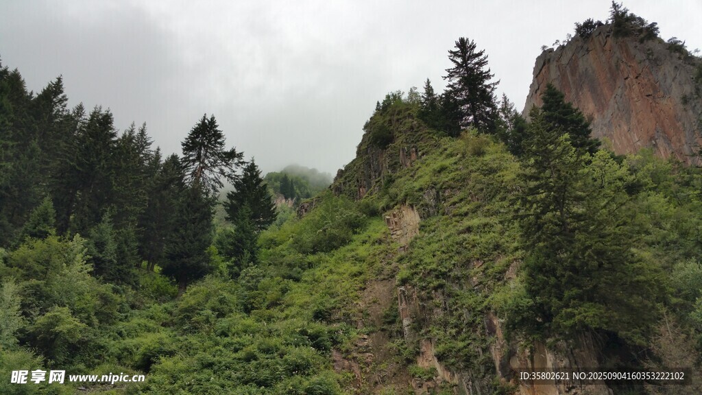 甘南扎尕那山林间的葱郁景致