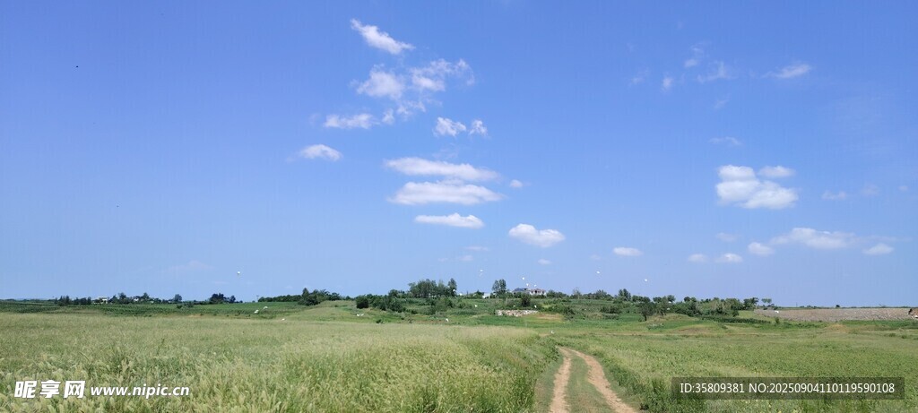 淅川陶岔丹江河畔草地