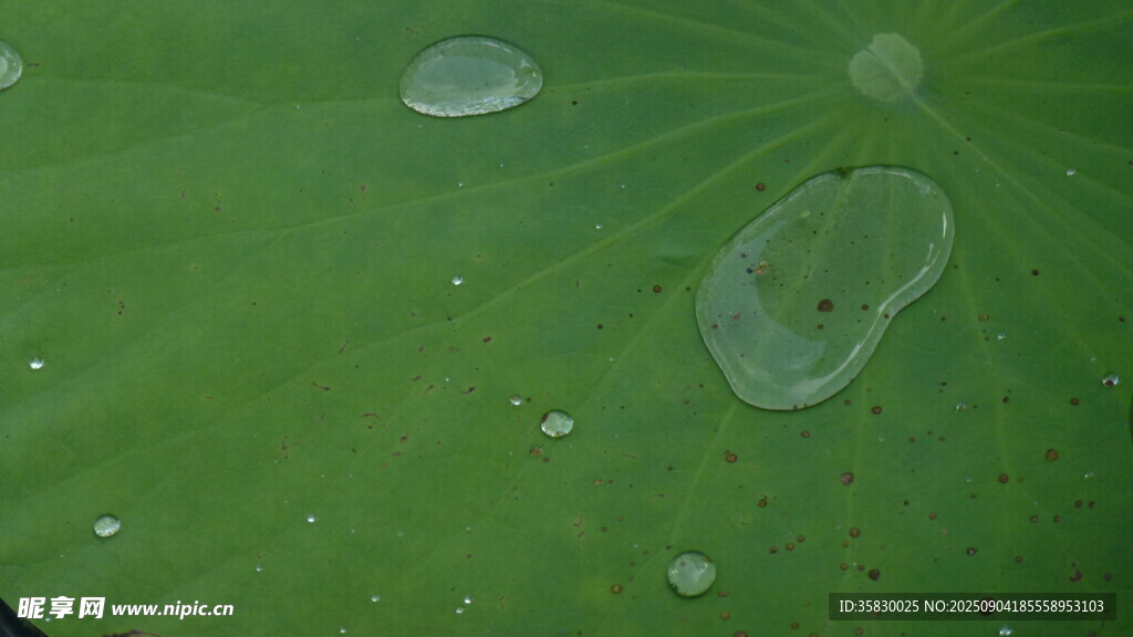 水珠