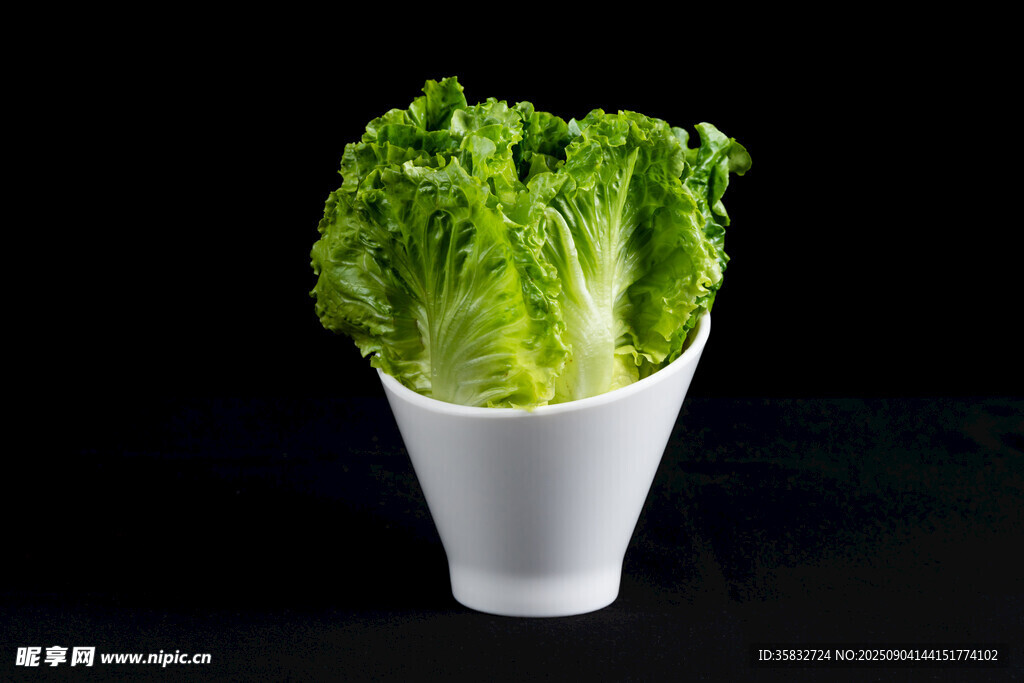 生菜