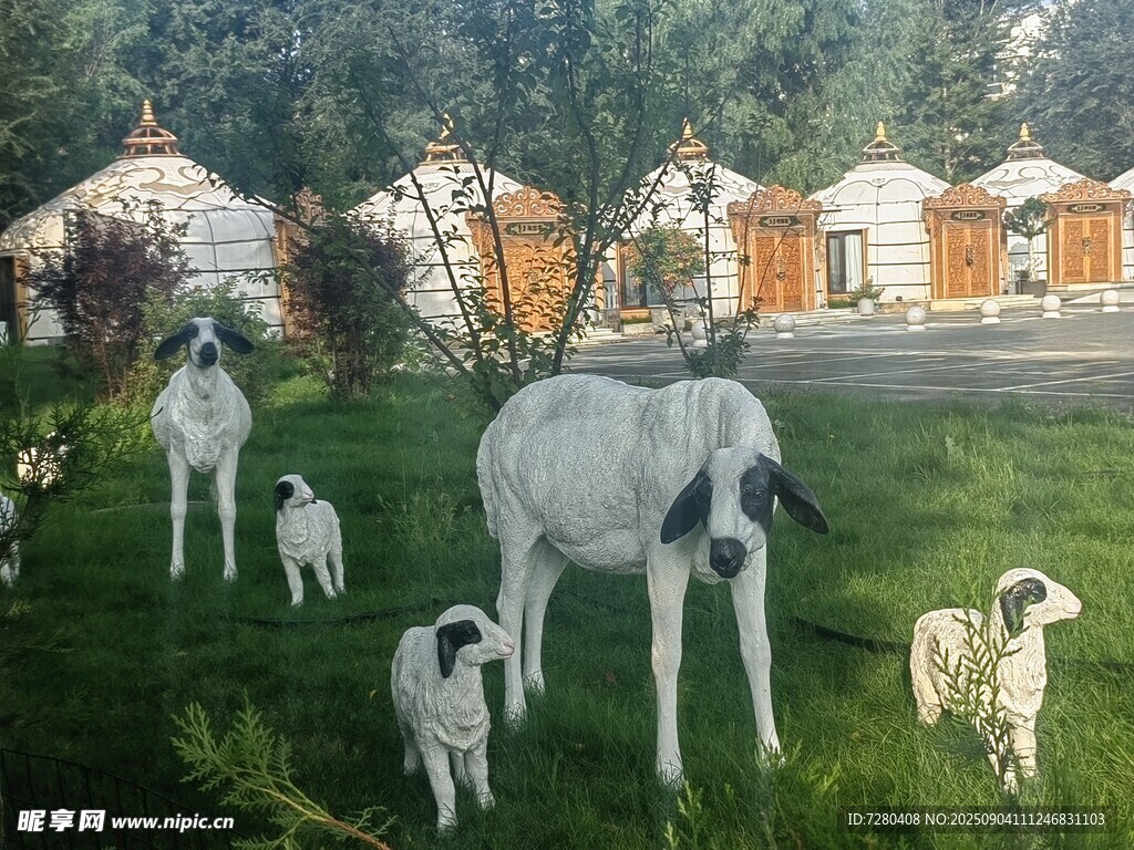 草地上的可爱狗狗们