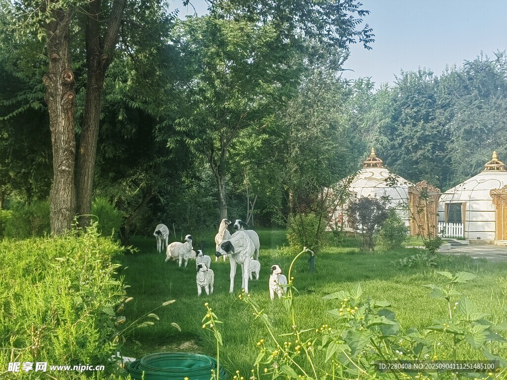 林间草地的白色帐篷与羊群
