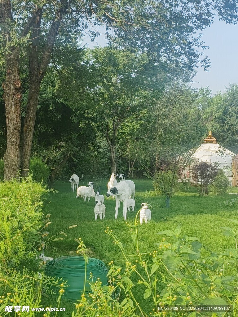 田园中的羊群与绿植景观