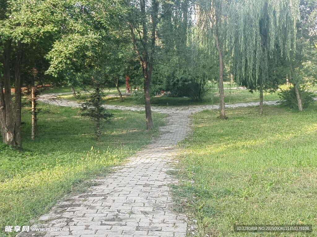 林间小径邂逅自然之美