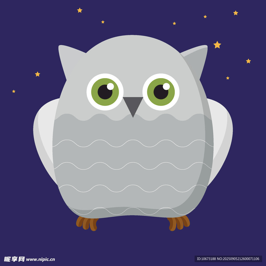 可爱猫头鹰在夜空背景中