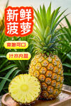 新鲜菠萝