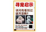 寻宠启示