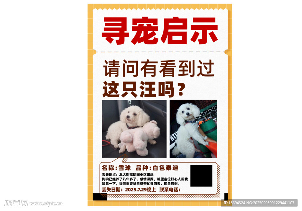 寻宠启示