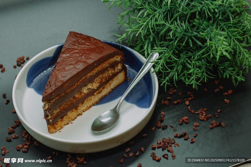 美味多层巧克力蛋糕切片