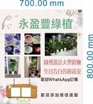 永盈豐绿植促销活动海报