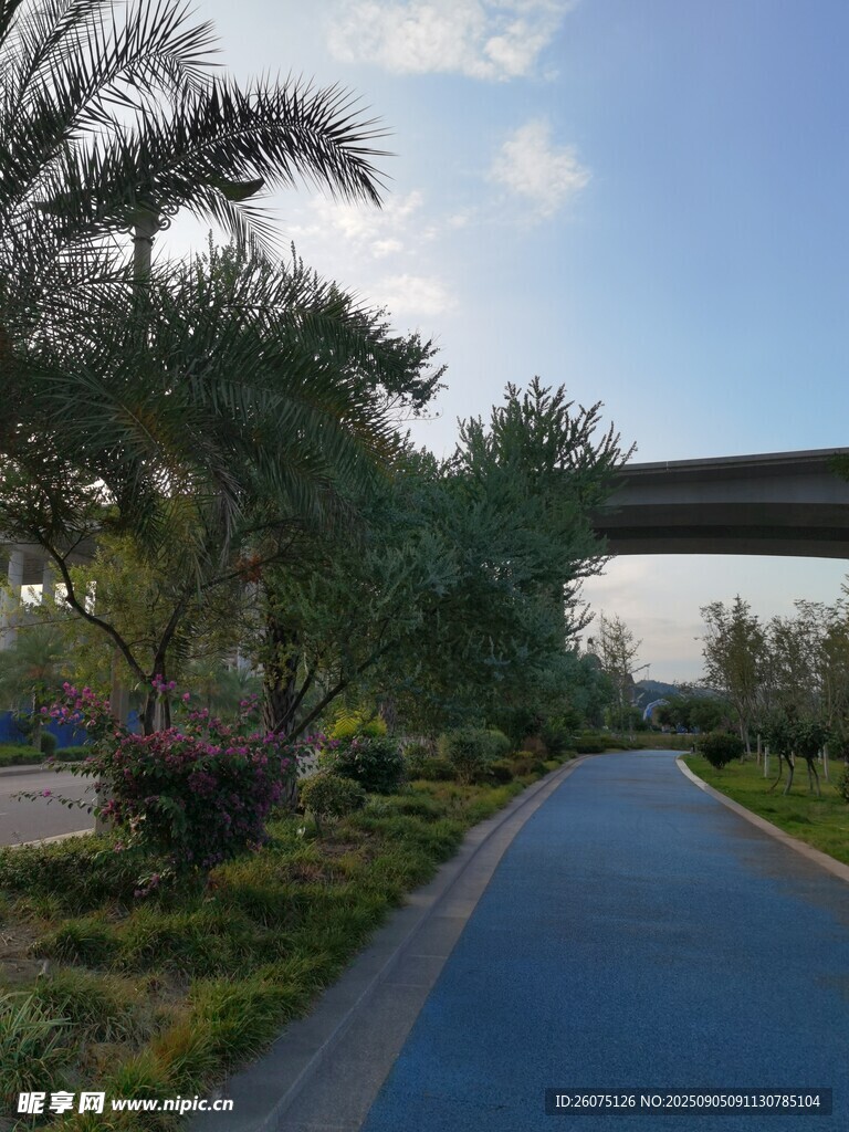 城市中的静谧景观步道
