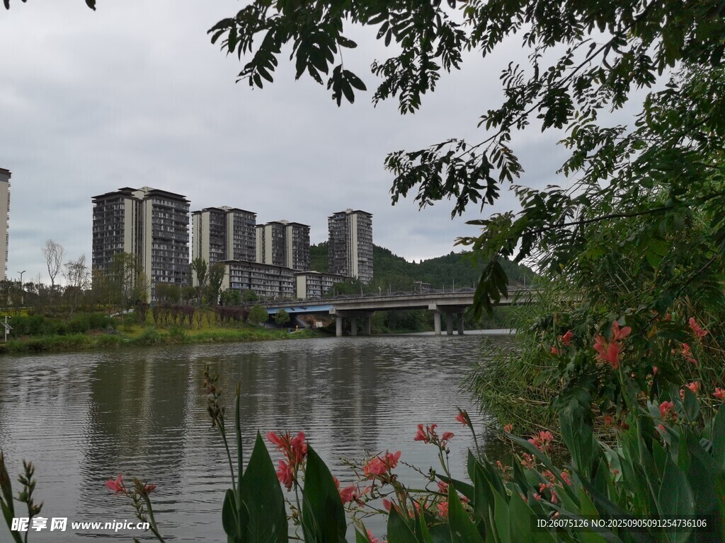 湖畔城市风光绿植相伴