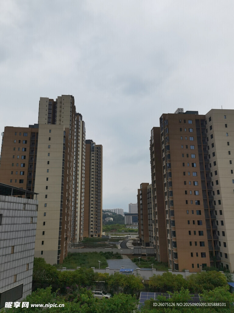 城市高楼与绿植景观
