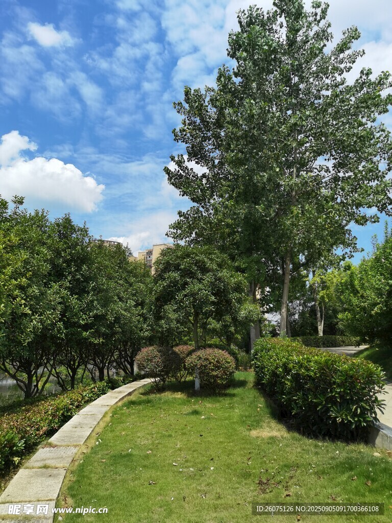 绿意盎然的户外园林景致