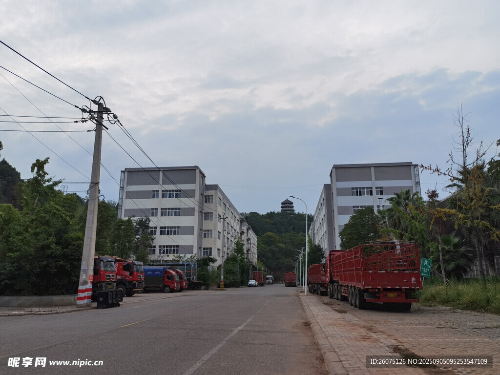 公路旁建筑与停放车辆