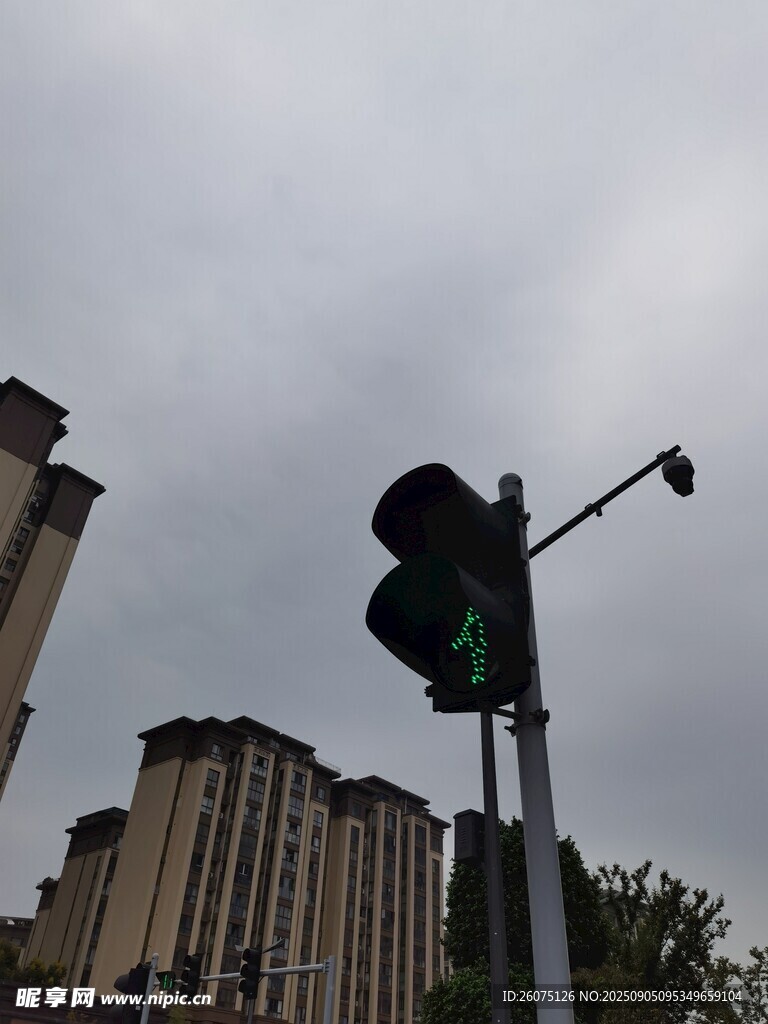 城市中亮起绿灯的交通信号灯