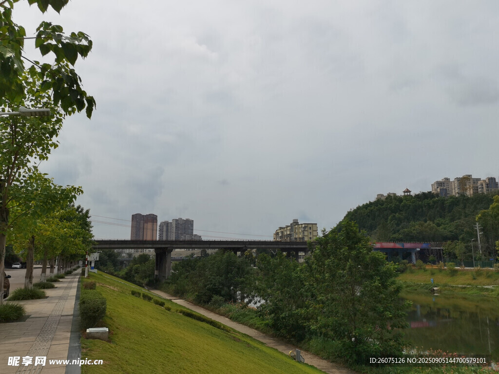 河畔绿植与远处桥梁风景