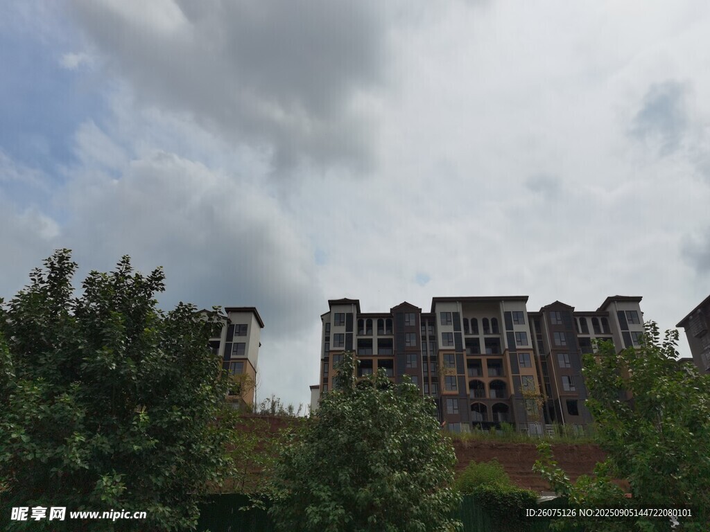 绿树环绕中的多层建筑群