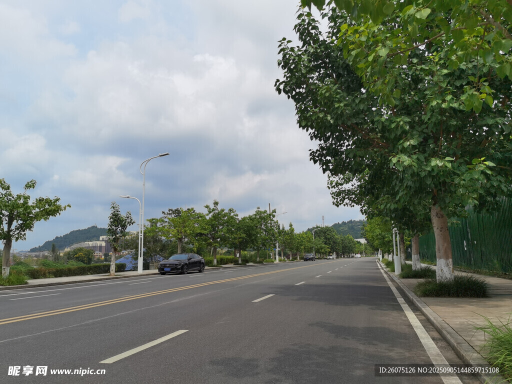 宽阔公路旁绿树成荫