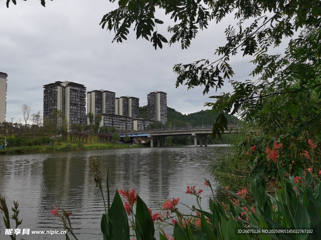 湖畔城市风光与绿植景致