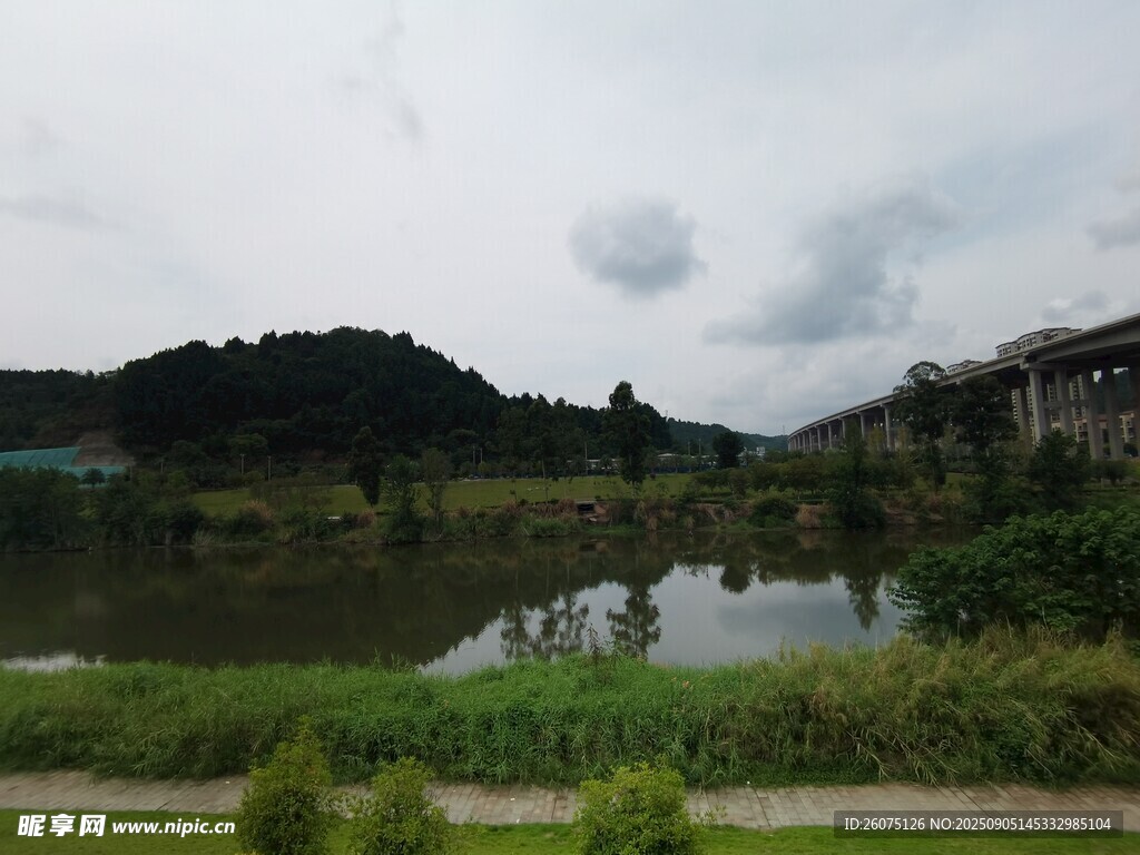 湖畔绿野风光