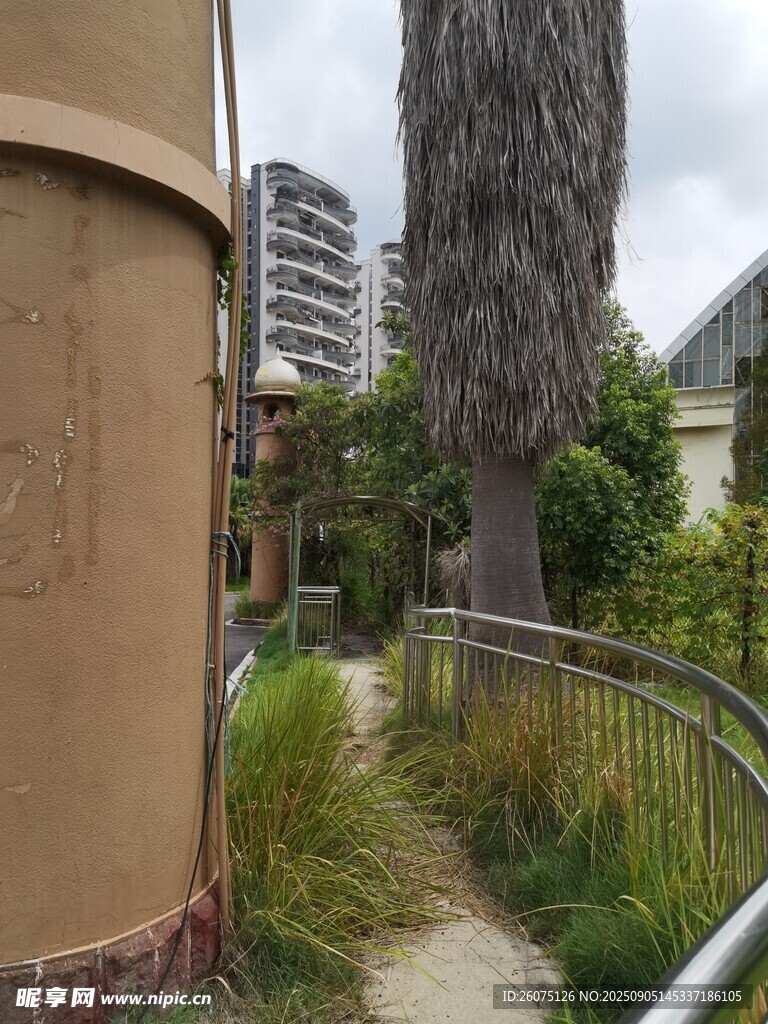 小区中的绿植与小径