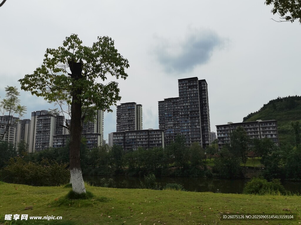 城市边的绿树与草地景观