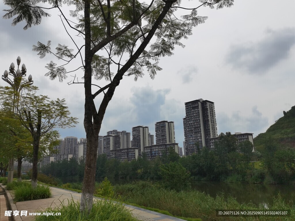 城市旁绿意盎然的自然景致