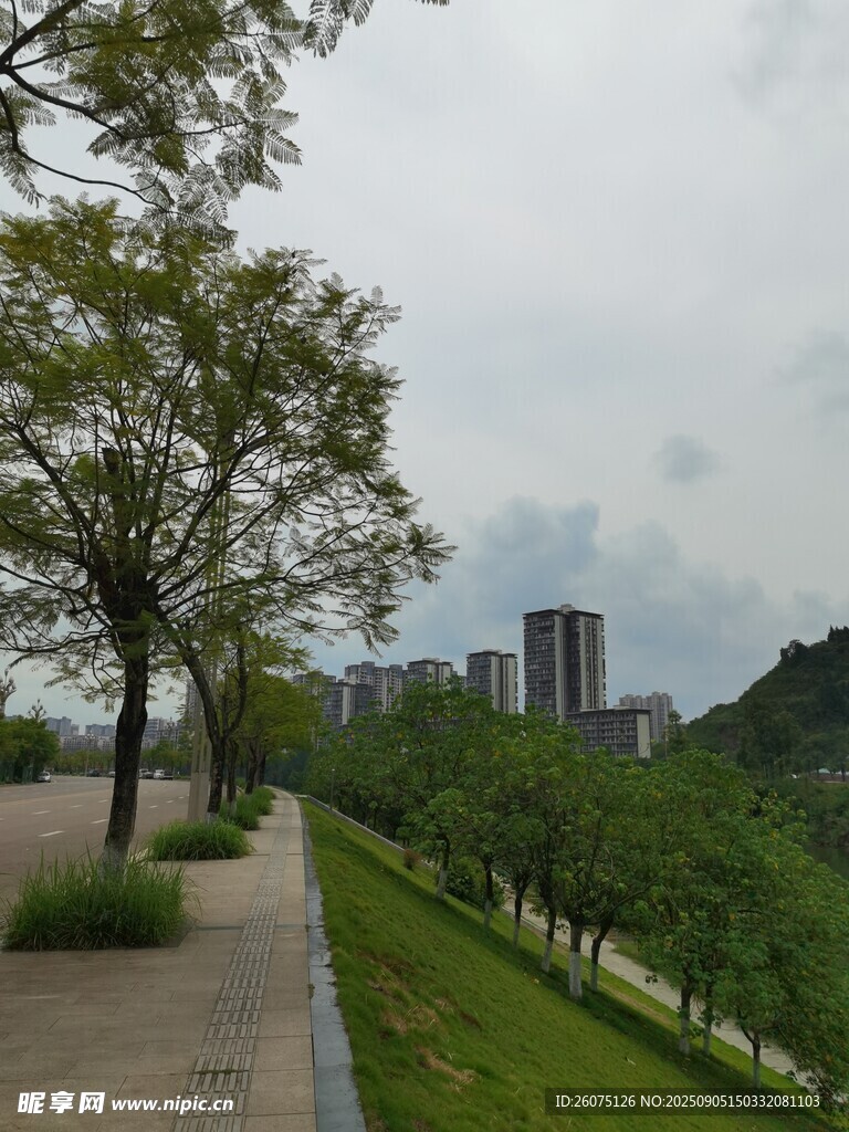 城市河畔绿树成荫景致
