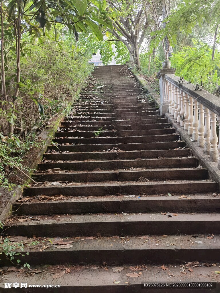 林间石阶静谧的自然步道