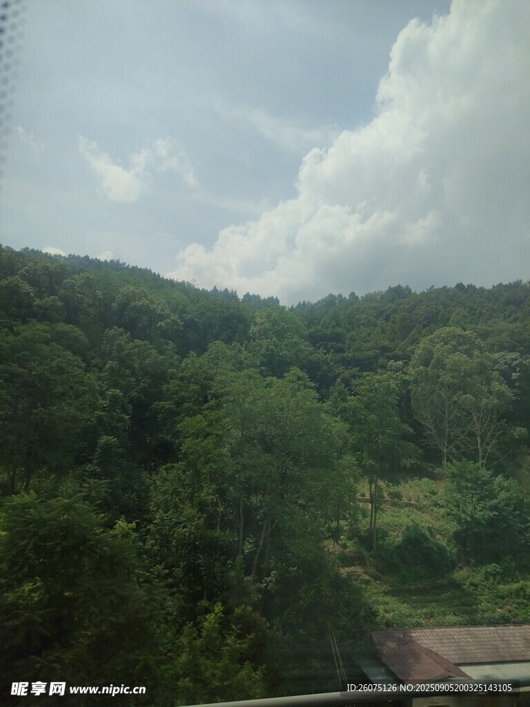 山间绿意盎然的自然景致