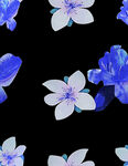 蓝白花卉图案   清新雅致
