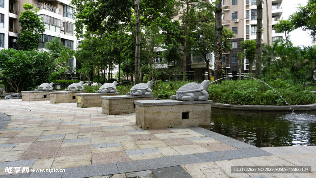城市中的静谧园林景观