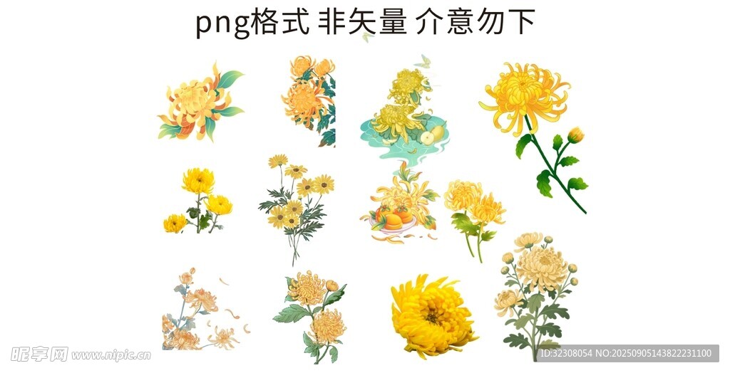 菊花