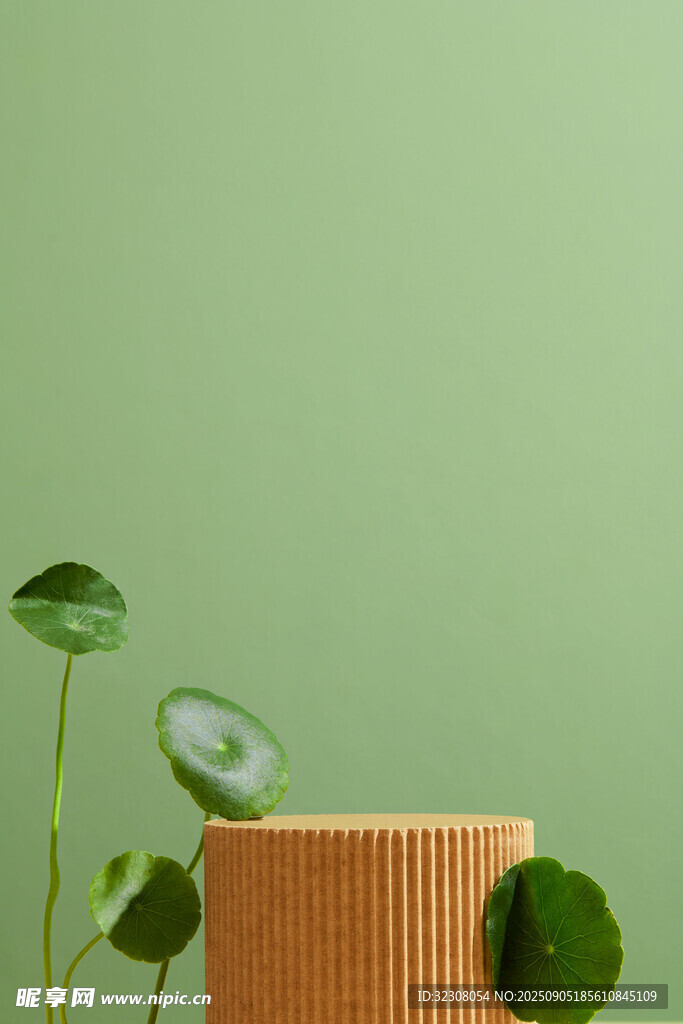 绿植环绕的棕色物件