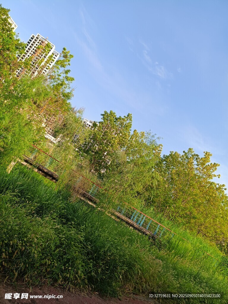 山坡绿意盎然的自然景致